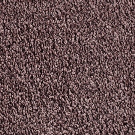 Frisé - Manduro - 028